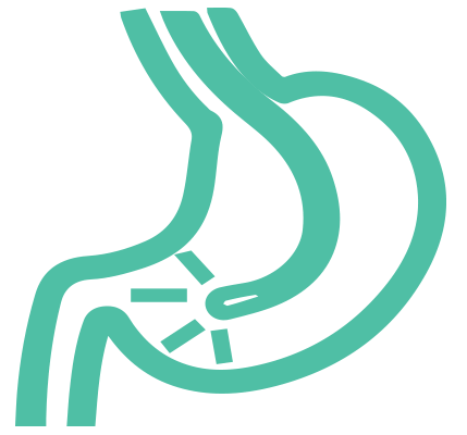 Endoscopia digestiva e respiratoria