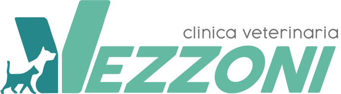 Clinica Vezzoni